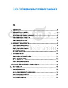 2025-2030碳捕集封存技術示范項目經濟效益評估報告