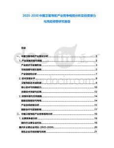 2025-2030中國衛星導航產業競爭格局分析及投資潛力與風險預警研究報告