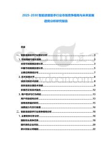 2025-2030智能語音助手行業市場競爭格局與未來發展趨勢分析研究報告