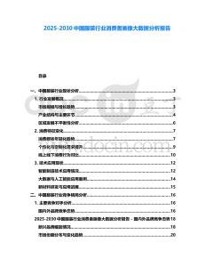 2025-2030中國服裝行業消費者畫像大數據分析報告