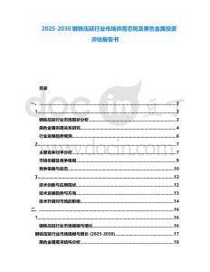 2025-2030鋼鐵壓延行業市場供需態勢及黑色金屬投資評估報告書