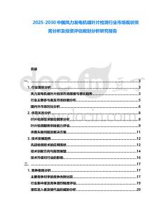 2025-2030中國風力發電機組葉片檢測行業市場現狀供需分析及投資評估規劃分析研究報告