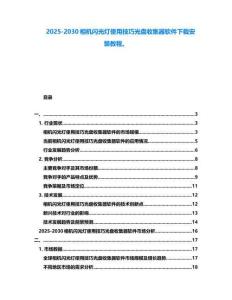 2025-2030相機(jī)閃光燈使用技巧光盤收集器軟件下載安裝教程。