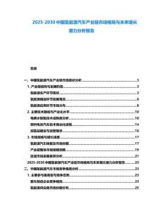 2025-2030中國氫能源汽車產(chǎn)業(yè)鏈市場格局與未來增長潛力分析報告