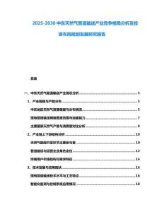 2025-2030中東天然氣管道輸送產(chǎn)業(yè)競(jìng)爭(zhēng)格局分析及投資布局規(guī)劃發(fā)展研究報(bào)告