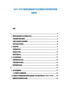 2025-2030智慧交通設(shè)備產(chǎn)業(yè)市場現(xiàn)狀分析供需評估規(guī)劃報告