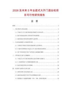 2026及未來5年全底式大開門混合機項目可行性研究報告