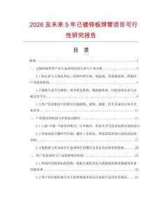 2026及未來5年已鍍鋅板焊管項目可行性研究報告