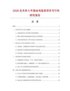 2026及未來5年接地電阻表項目可行性研究報告