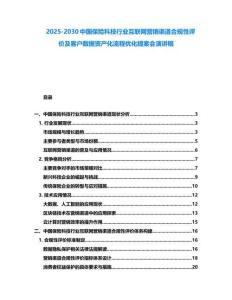 2025-2030中國保險科技行業(yè)互聯(lián)網(wǎng)營銷渠道合規(guī)性評價及客戶數(shù)據(jù)資產(chǎn)化流程優(yōu)化提案會演講稿