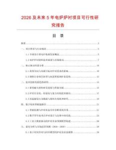 2026及未來5年電爐爐襯項目可行性研究報告