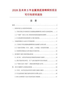 2026及未來(lái)5年金屬漆底漆稀釋劑項(xiàng)目可行性研究報(bào)告