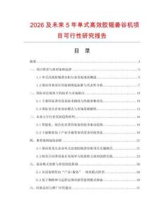 2026及未來5年單式高效膠輥礱谷機(jī)項(xiàng)目可行性研究報(bào)告