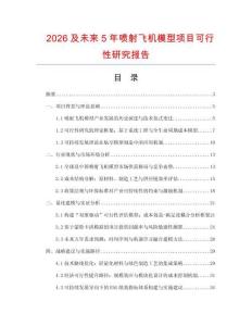 2026及未來5年噴射飛機模型項目可行性研究報告