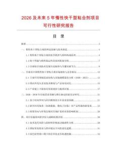 2026及未來5年惰性快干型粘合劑項目可行性研究報告