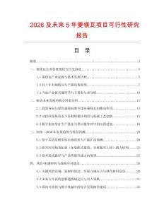 2026及未來5年菱鎂瓦項目可行性研究報告