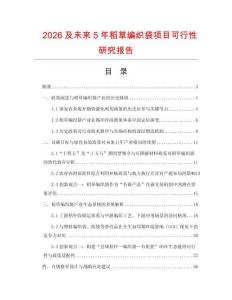 2026及未来5年稻草编织袋项目可行性研究报告