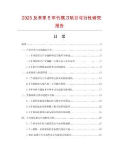 2026及未來5年竹筷刀項目可行性研究報告