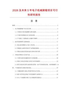 2026及未來5年電子機械刷輥項目可行性研究報告