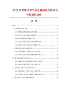 2026及未來5年氣體泄漏探測儀項目可行性研究報告