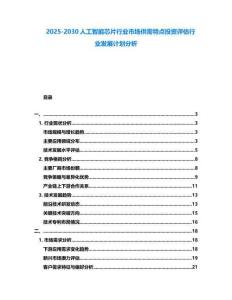 2025-2030人工智能芯片行業市場供需特點投資評估行業發展計劃分析