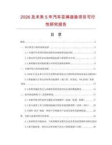 2026及未來5年汽車亞麻座墊項目可行性研究報告