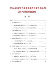 2026及未來5年鍍鋁膜專用復合粘合劑項目可行性研究報告