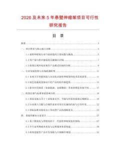 2026及未來5年懸壁伸縮架項目可行性研究報告