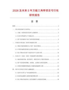 2026及未來5年萬能三角帶項目可行性研究報告