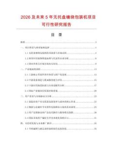 2026及未來5年無托盤纏繞包裝機項目可行性研究報告