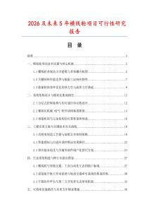 2026及未來5年橫線輪項目可行性研究報告