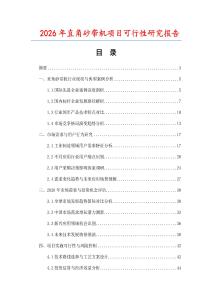 2026年直角砂帶機項目可行性研究報告