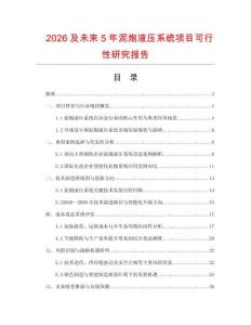 2026及未來5年泥炮液壓系統項目可行性研究報告