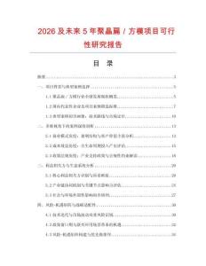 2026及未來5年聚晶扁／方模項目可行性研究報告