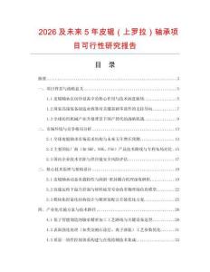 2026及未來5年皮輥（上羅拉）軸承項目可行性研究報告