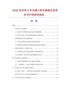2026及未來5年永磁三輪車刷架總成項目可行性研究報告