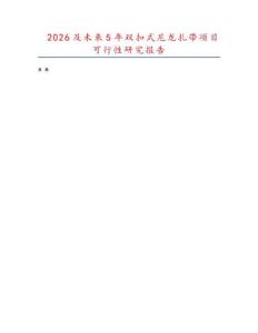2026及未來5年雙扣式尼龍扎帶項目可行性研究報告