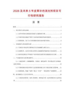 2026及未來5年皮革補傷消光劑項目可行性研究報告