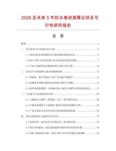 2026及未來5年防水卷材測厚儀項目可行性研究報告