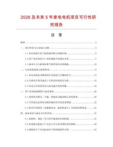 2026及未來5年家電電機項目可行性研究報告