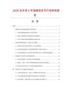 2026及未來5年滾繩項目可行性研究報告