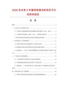 2026及未來5年建筑物清潔劑項目可行性研究報告