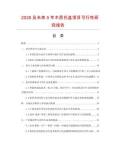 2026及未來5年木質托盤項目可行性研究報告