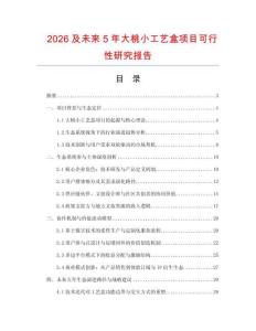 2026及未來5年大桃小工藝盒項目可行性研究報告