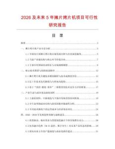 2026及未來5年攤片烤片機項目可行性研究報告