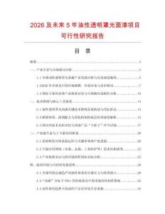2026及未來5年油性透明罩光面漆項目可行性研究報告