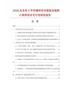2026及未來5年熱鍍鋅雙向搓捻加強筋六角網(wǎng)項目可行性研究報告