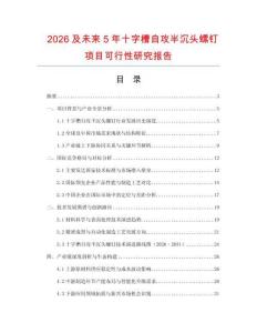 2026及未來5年十字槽自攻半沉頭螺釘項目可行性研究報告