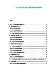 Fast芯片組創客社區發展與開源生態分析