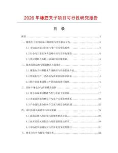 2026年橡筋夾子項目可行性研究報告